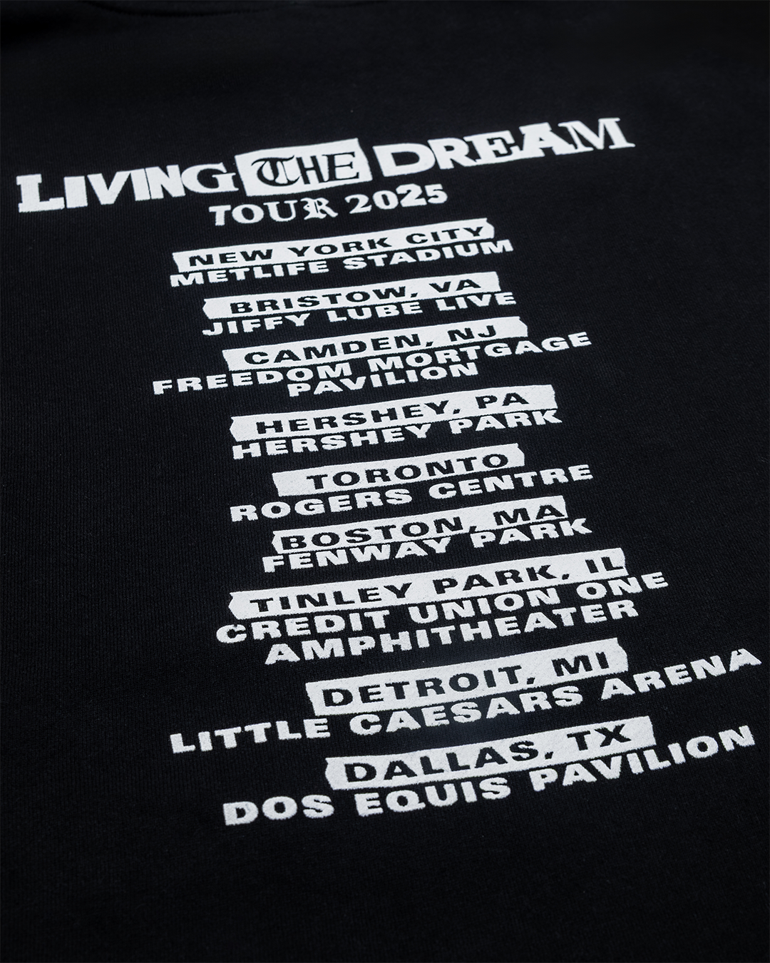 Living The Dream Hoodie — Black