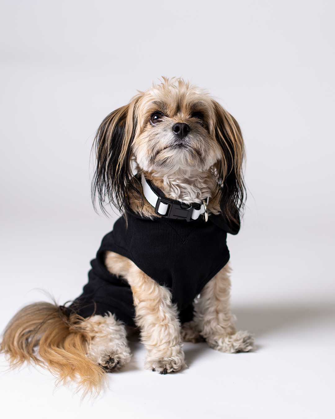 K-9 Security Dog Hoodie
