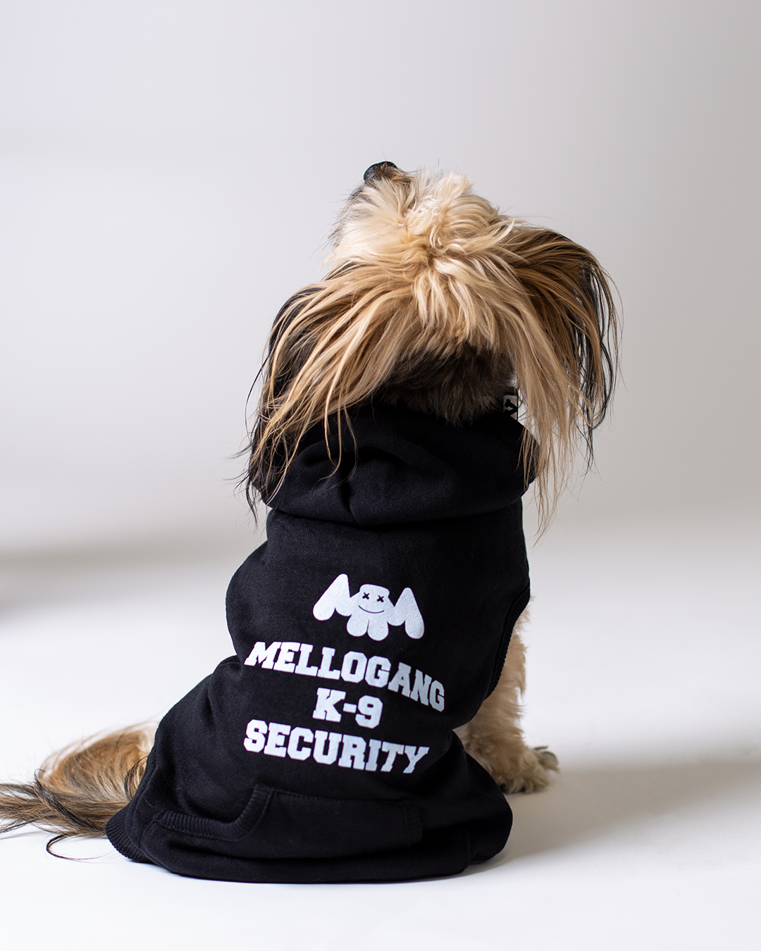 K-9 Security Dog Hoodie