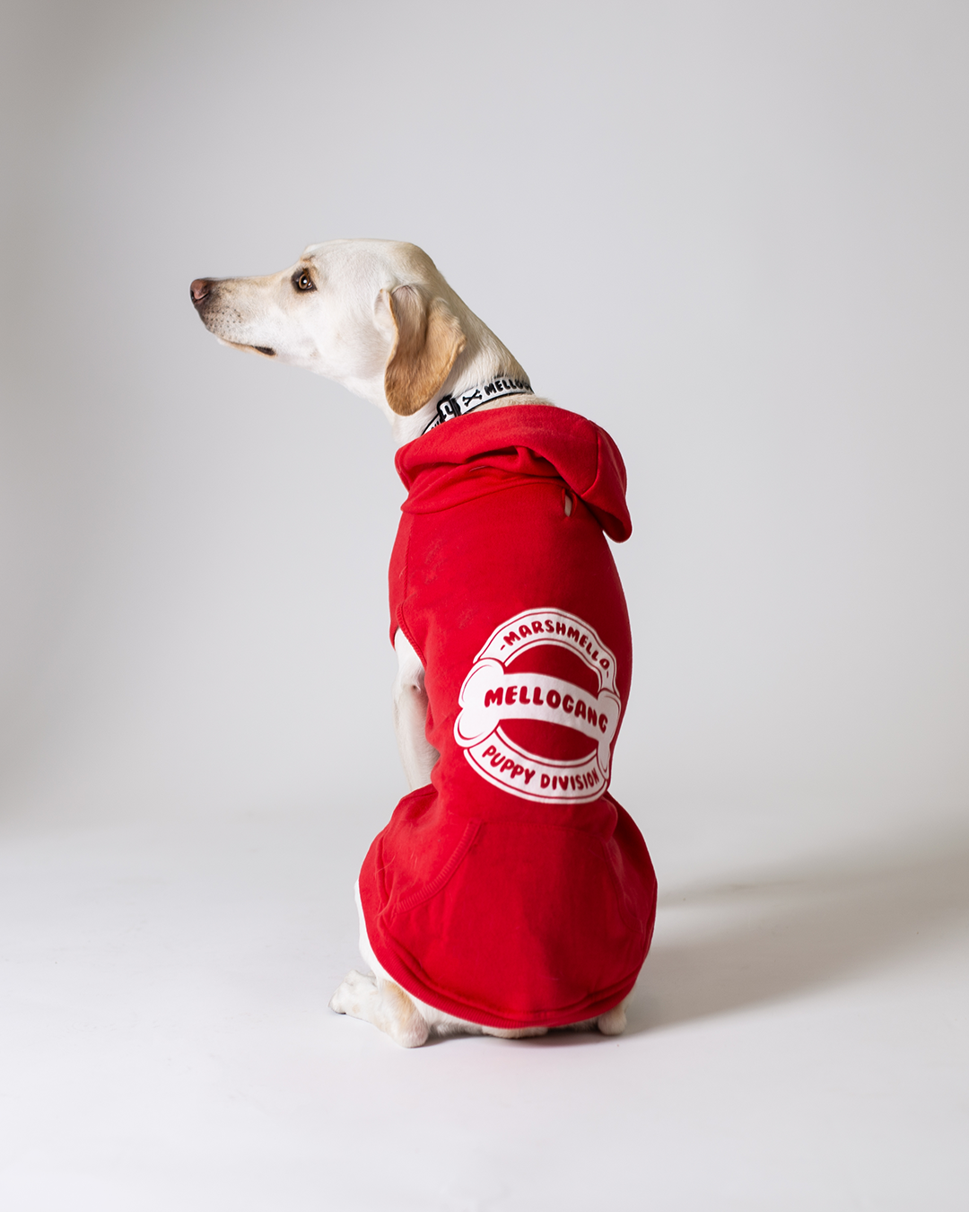 Mellogang Puppy Division Dog Hoodie